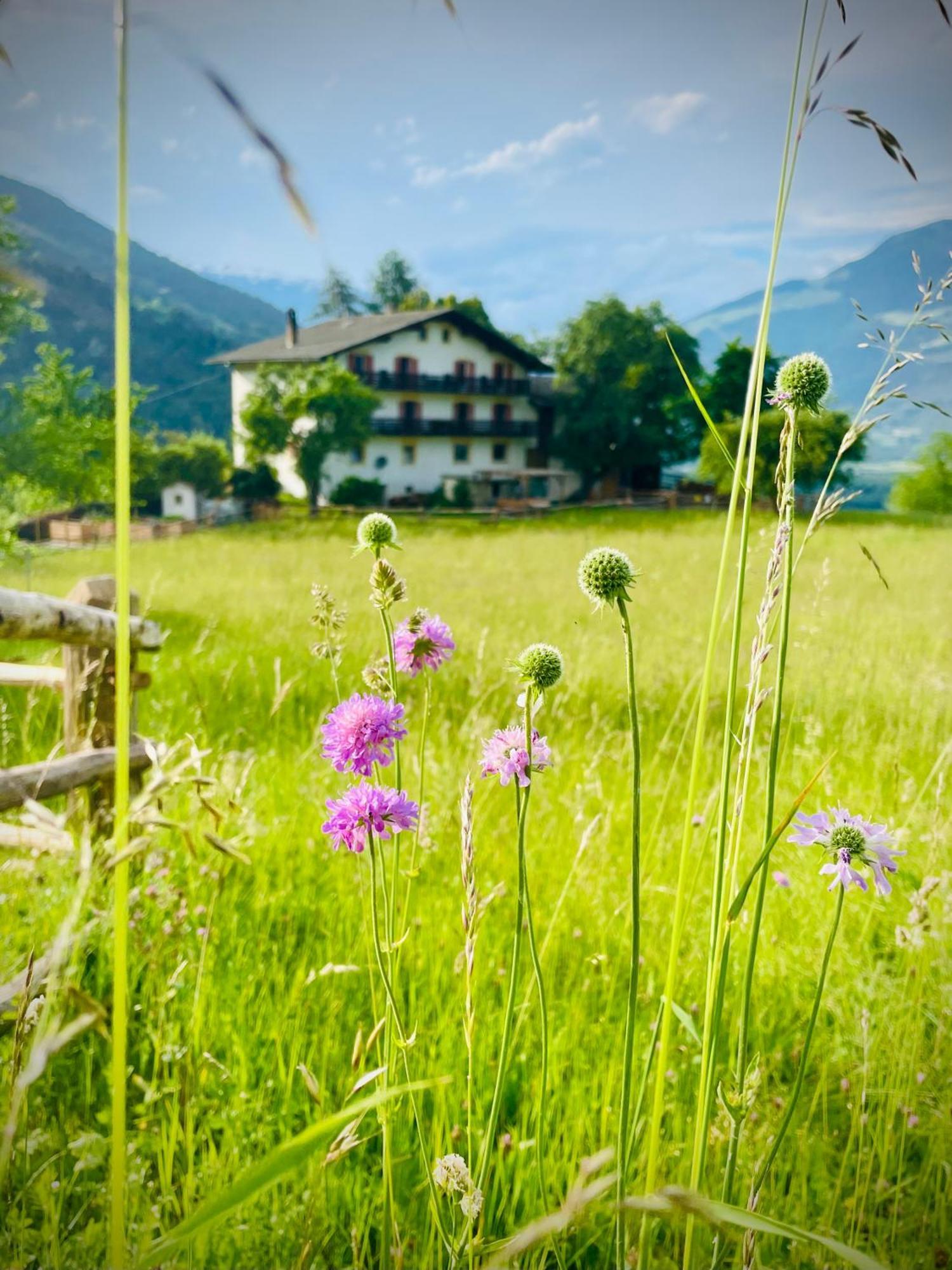 Plasur - Apartement Bella Vista Montechiaro Lichtenberg Eksteriør bilde