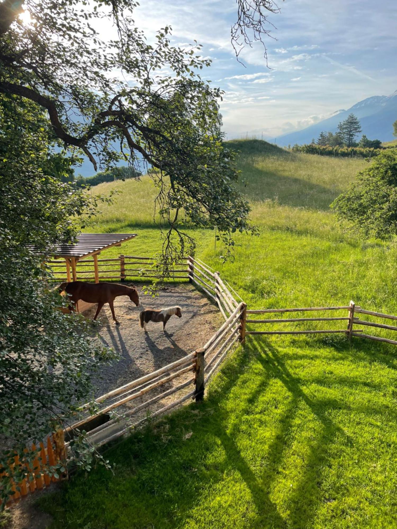 Plasur - Apartement Bella Vista Montechiaro Lichtenberg Eksteriør bilde